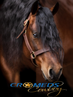 Cromeds Cowboy Höhe 380Pixelmit Logo