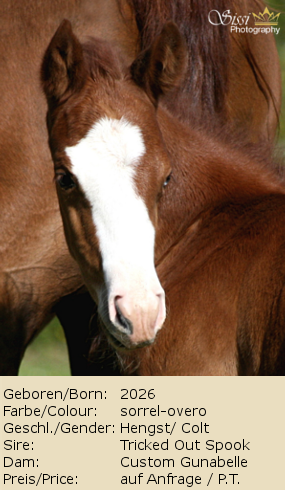 Tricked Out Spook x Custom Gunabelle colt 2026